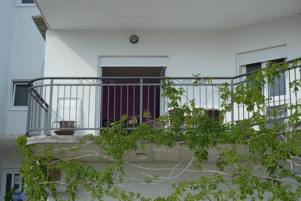 Recommendation For Small And Young Families Duce Ngoại thất bức ảnh